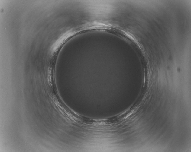 X0000057091455200509091301