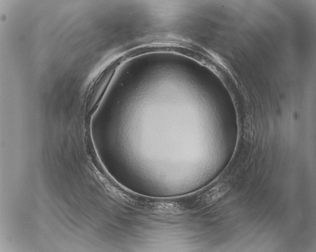 X0000057091456200509091301