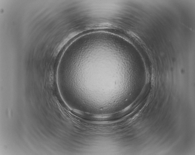 X0000057091457200509091301