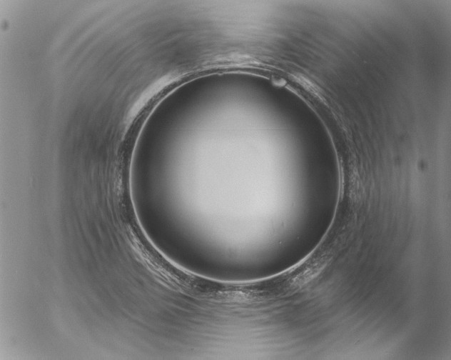 X0000057091458200509091301