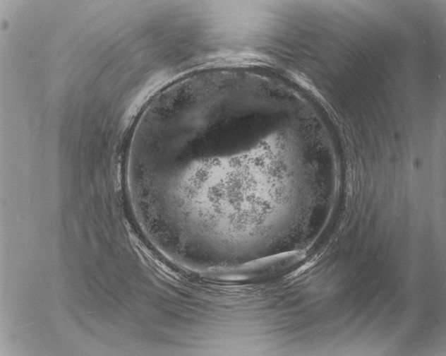 X0000057091459200509091301