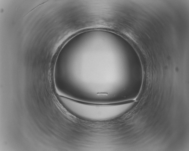 X0000057091460200509091301