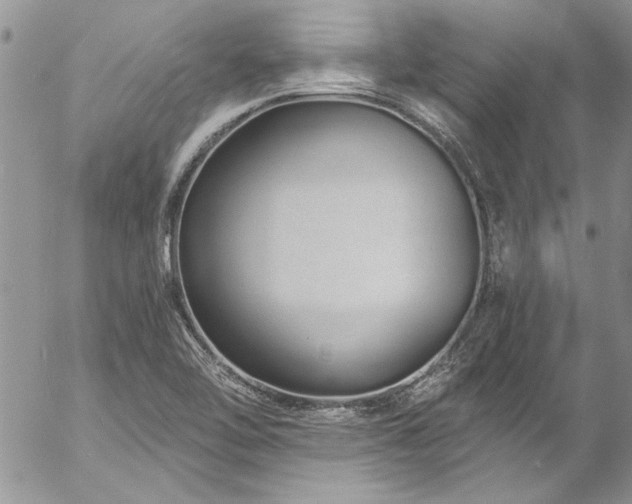 X0000057091462200509091301