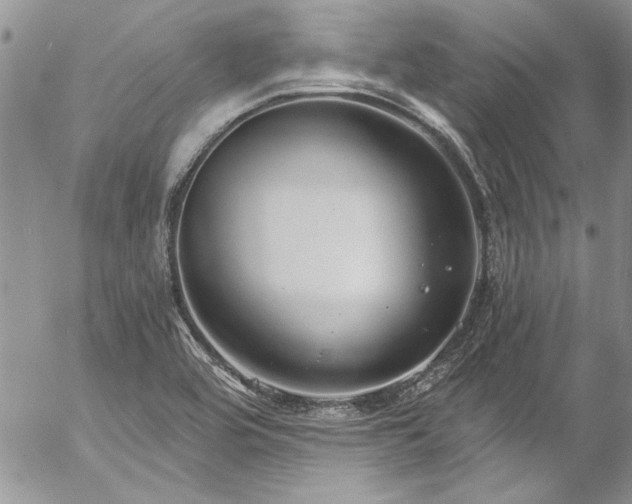 X0000057091464200509091301