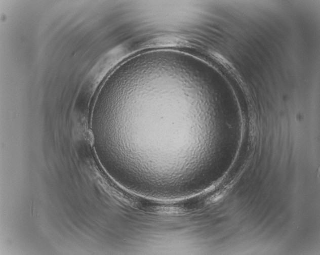 X0000057091465200509091301