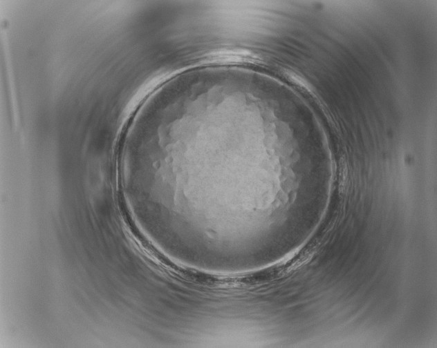 X0000057091467200509091301