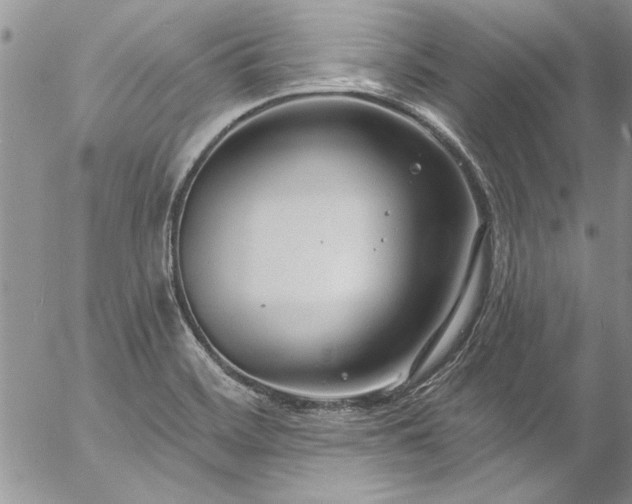 X0000057091468200509091301