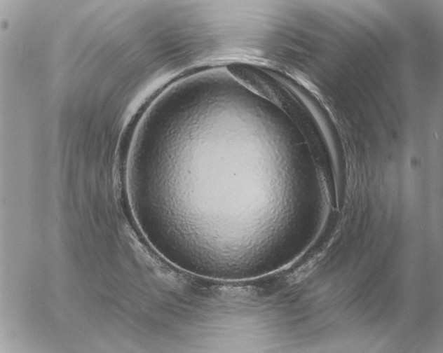 X0000057091469200509091301