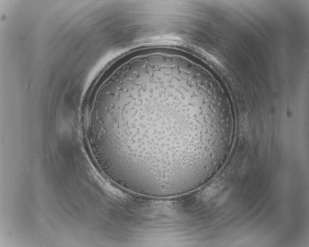 X0000057091470200509091301