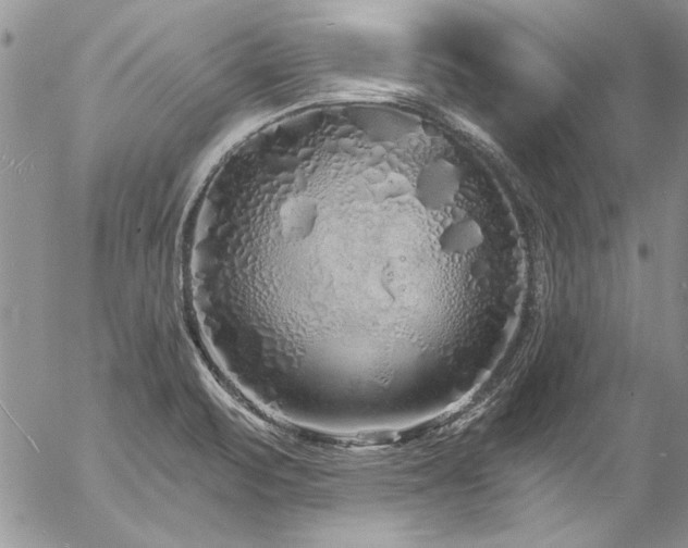 X0000057091471200509091301