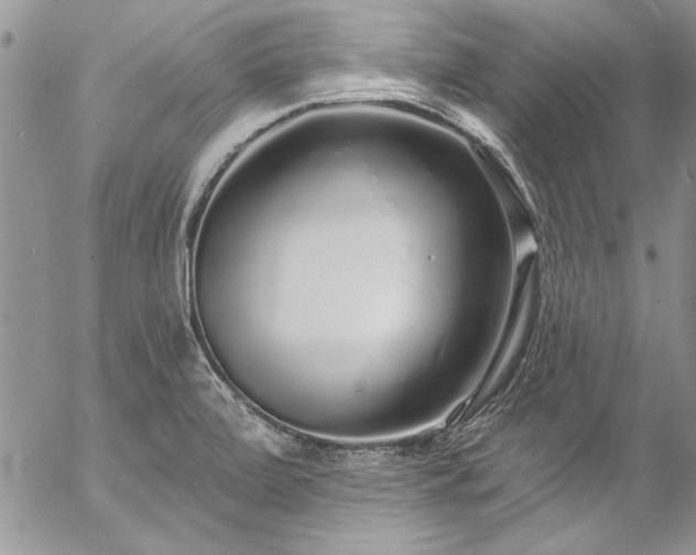 X0000057091472200509091301