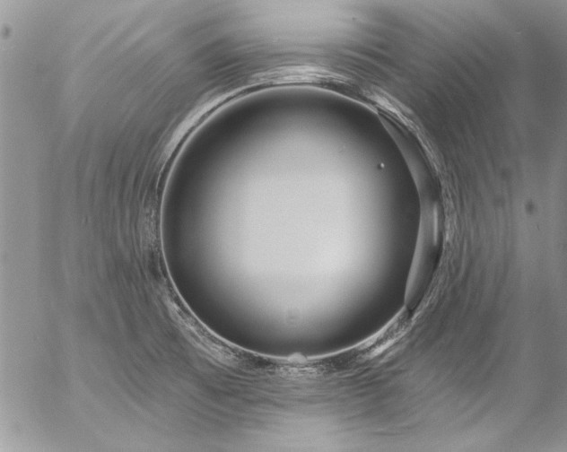 X0000057091473200509091301