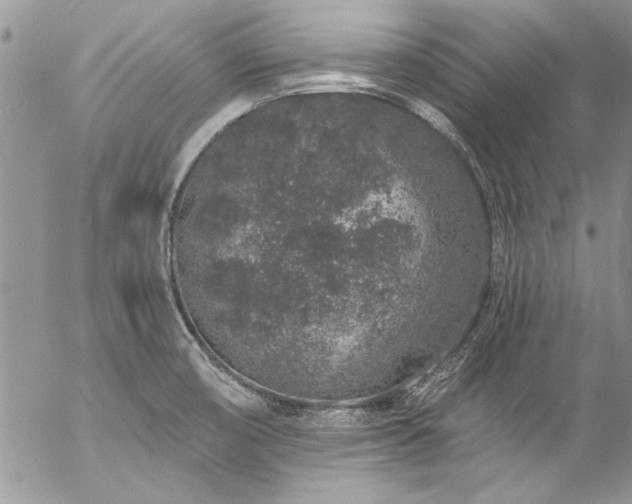 X0000057091474200509091301