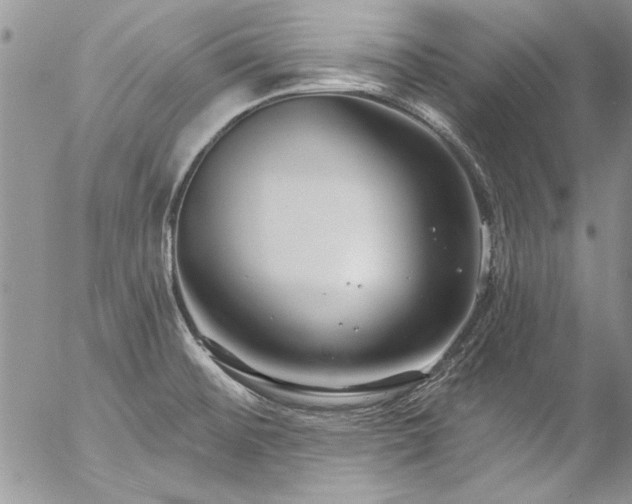 X0000057091476200509091301