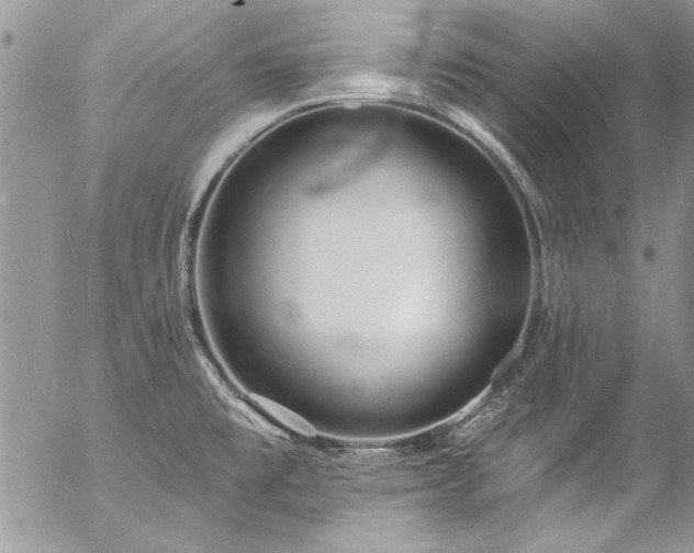 X0000057091477200509091301