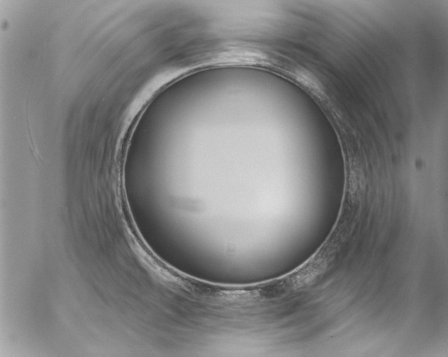 X0000057091478200509091301