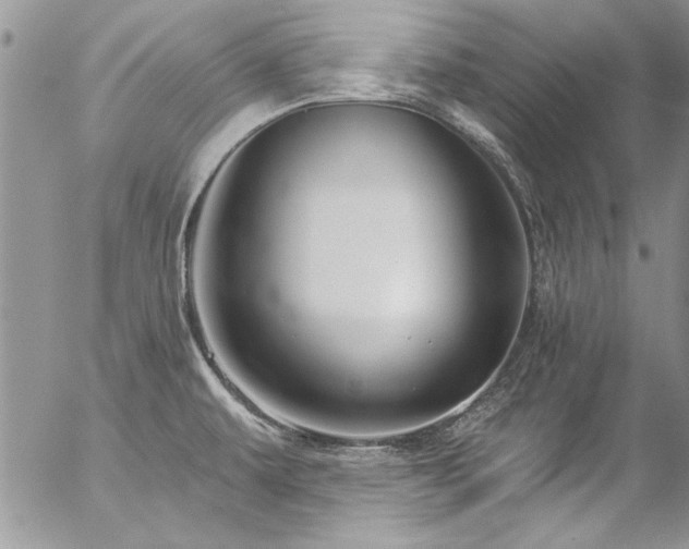 X0000057091479200509091301