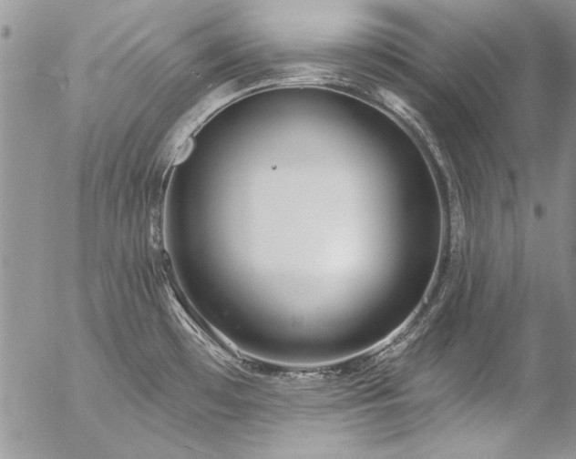 X0000057091481200509091301