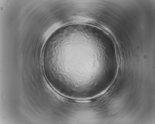 X0000057091487200509091300