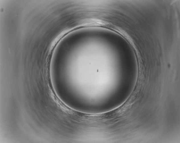 X0000057091488200509091300