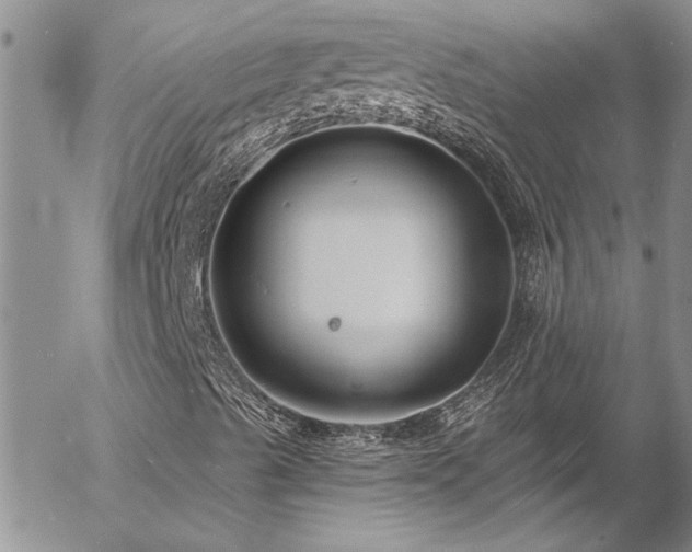 X0000057091489200509091300