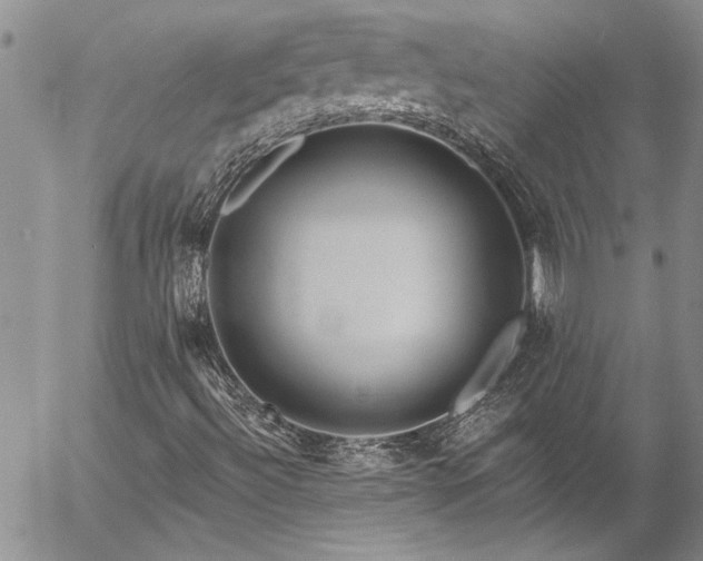 X0000057091492200509091300