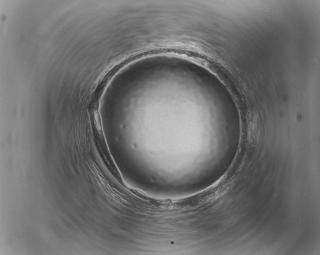 X0000057091497200509091300