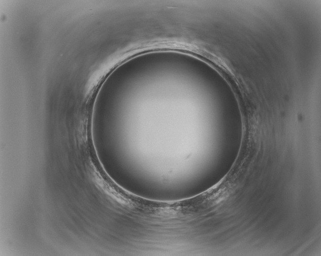 X0000057091504200509091300