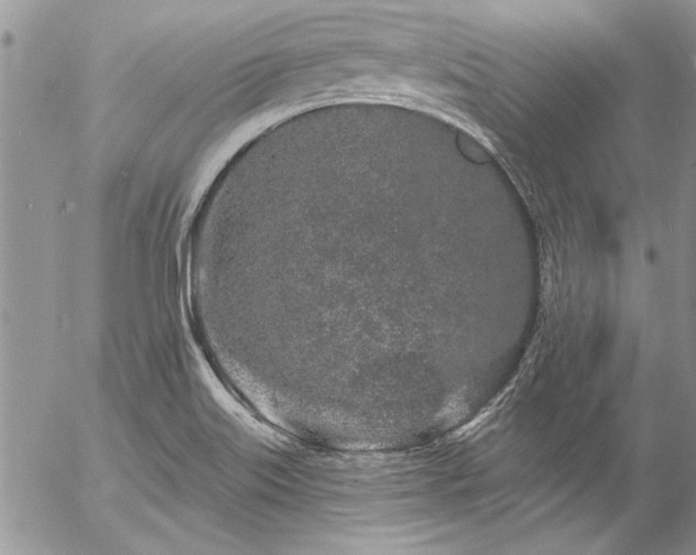 X0000057091515200509091300