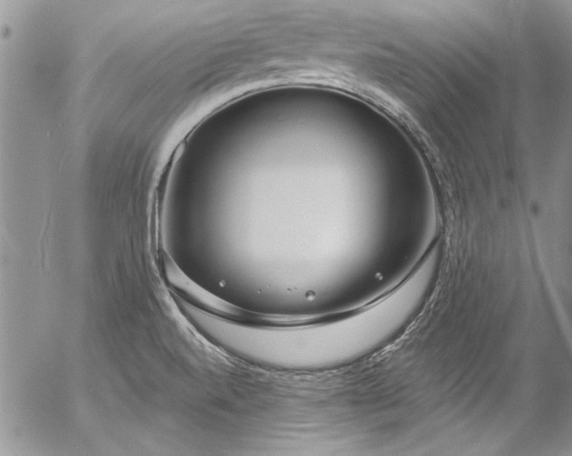 X0000057091520200509091300