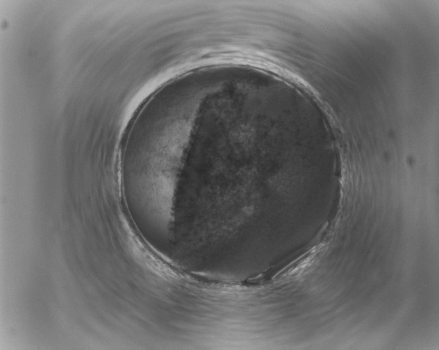 X0000057091522200509091300