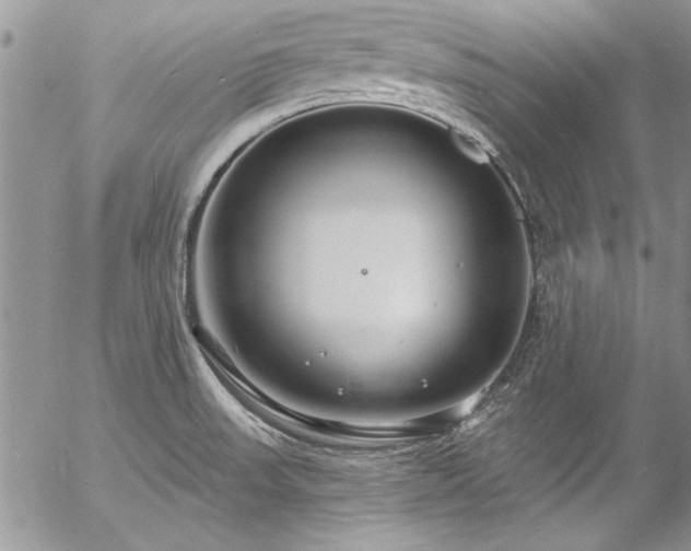 X0000057091523200509091300