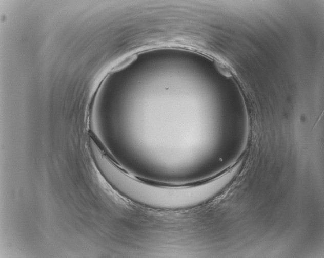 X0000057091524200509091300