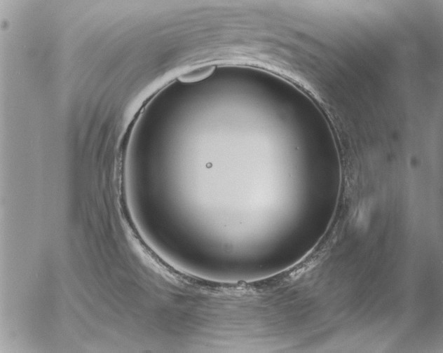 X0000057091526200509091300