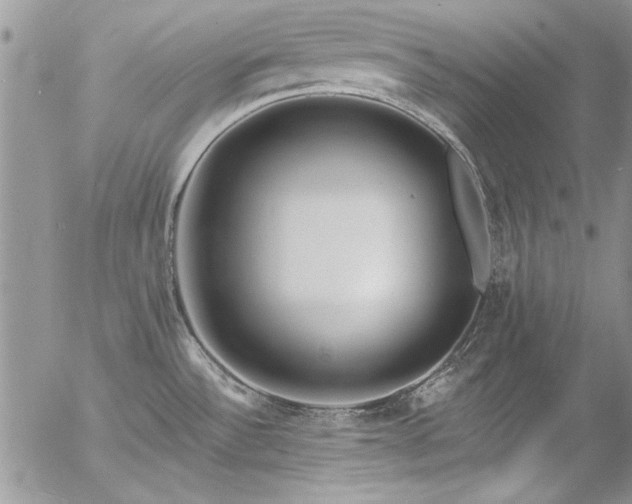 X0000057091532200509091300