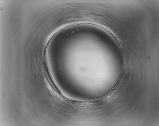 X0000057091534200509091300