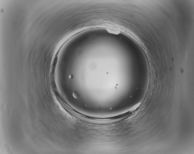 X0000057091536200509091300