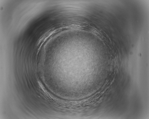 X0000057090002200509120931