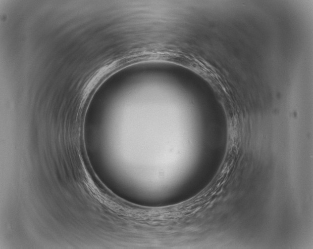 X0000057090003200509120931