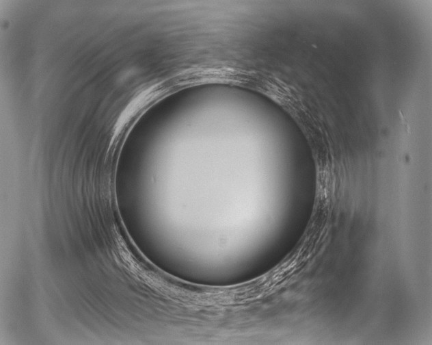 X0000057090004200509120931