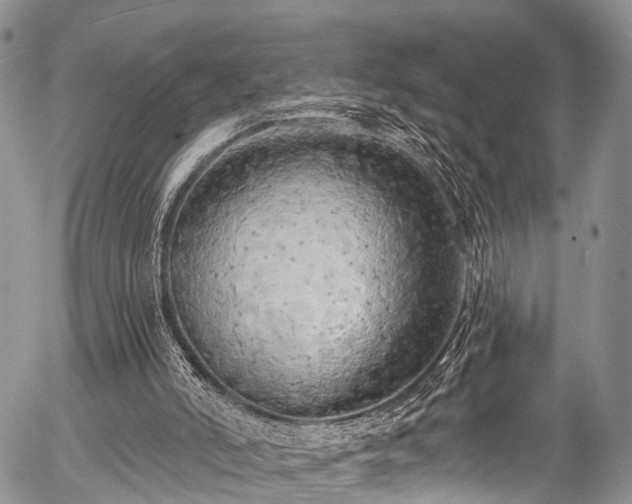 X0000057090006200509120931