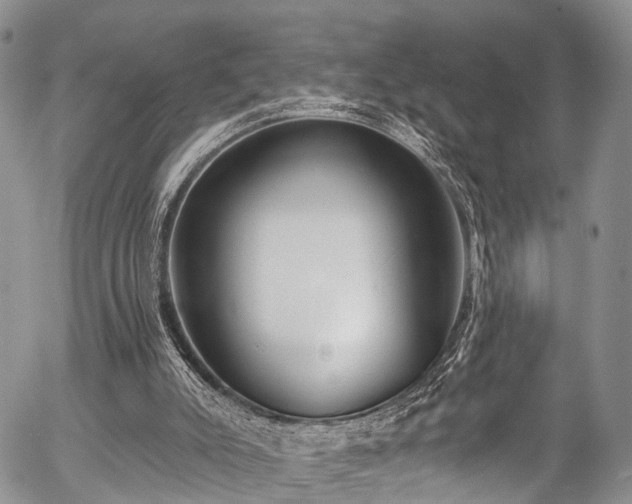 X0000057090007200509120931