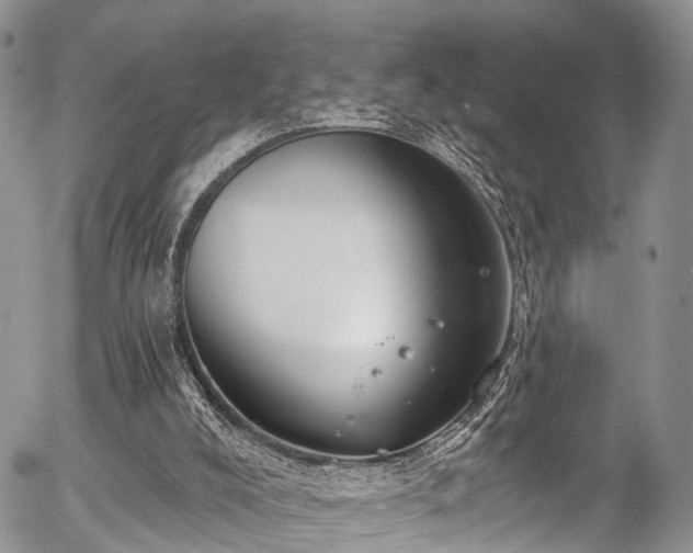 X0000057090008200509120930