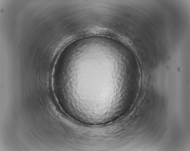 X0000057090010200509120930