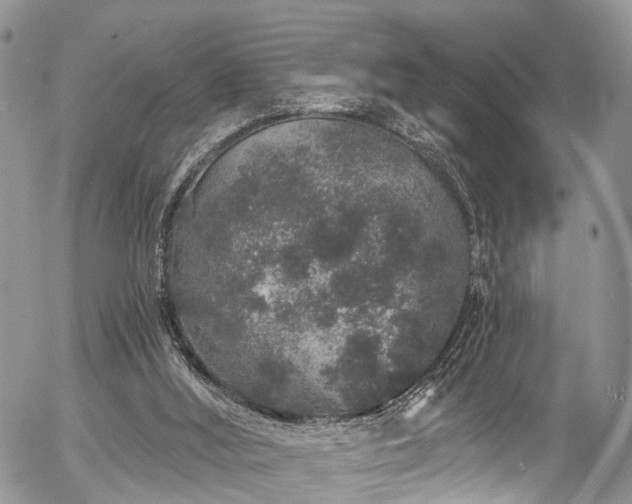 X0000057090012200509120930