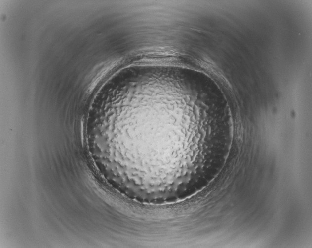 X0000057090014200509120930