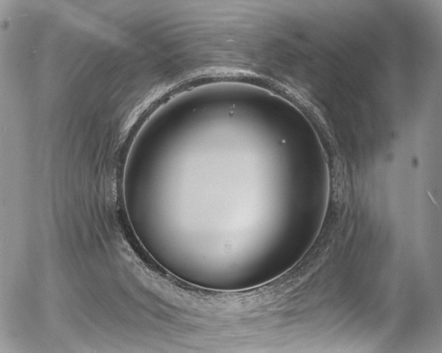 X0000057090015200509120930