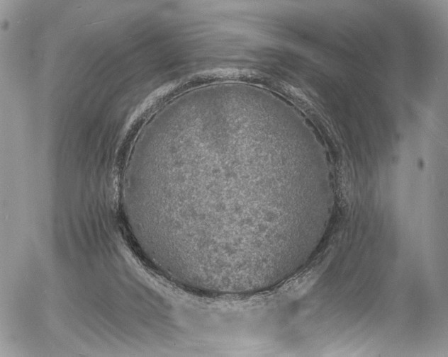 X0000057090016200509120930