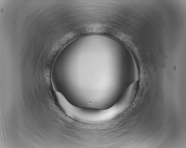 X0000057090017200509120930