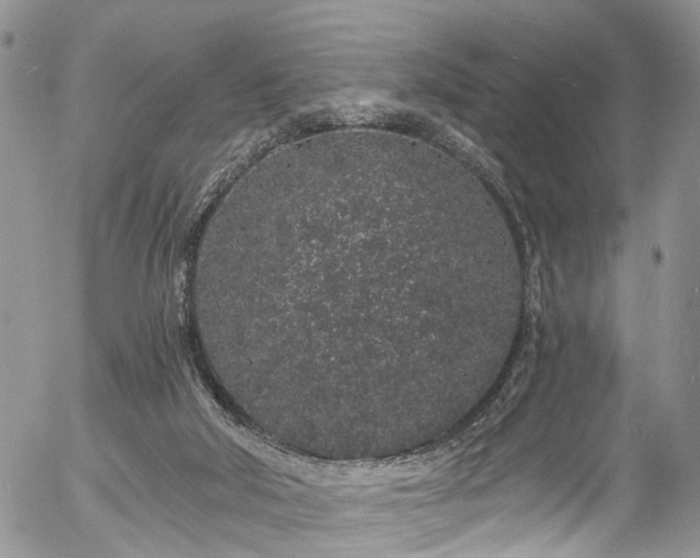 X0000057090018200509120930